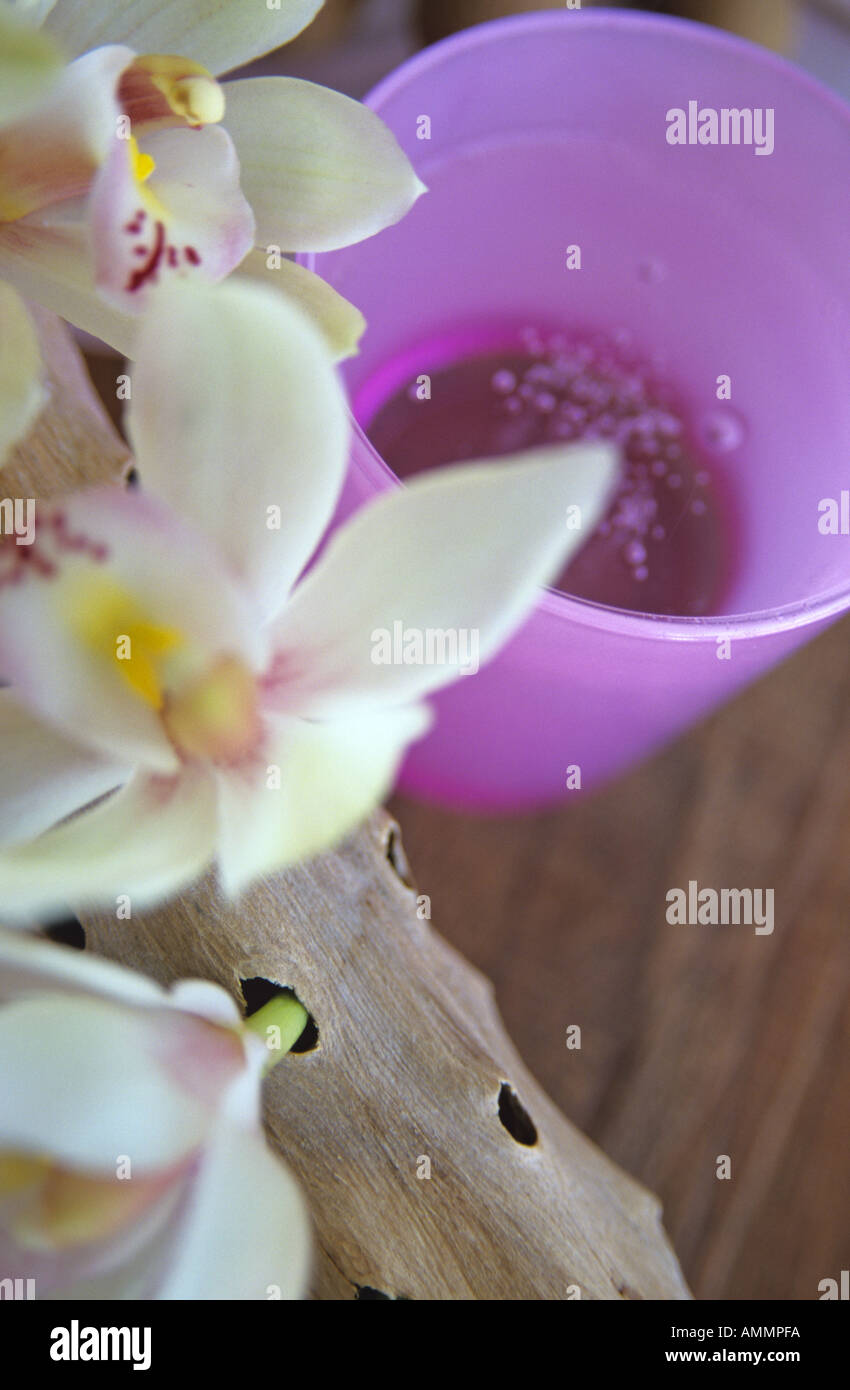 White orchid, close-up Stock Photo
