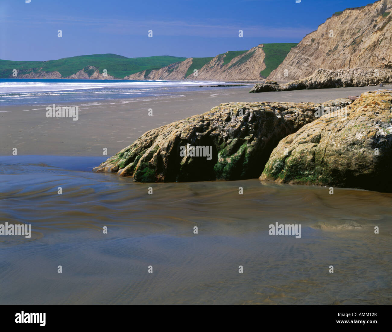 Point Reyes National Seashore CA Low tide exposes a deserted sandy