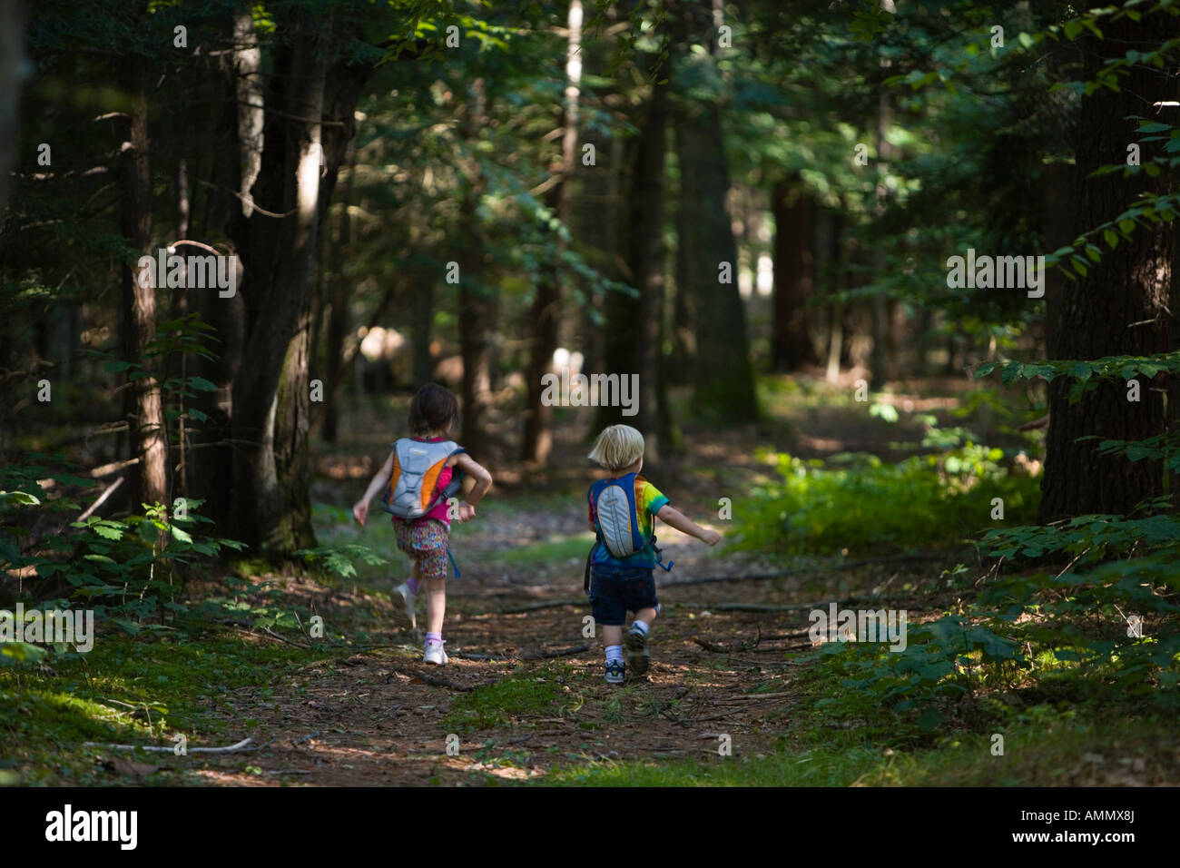 A young brother and sister go hiking in North Hampton New Hampshire Near the headwaters of the Winnicut River Stock Photo