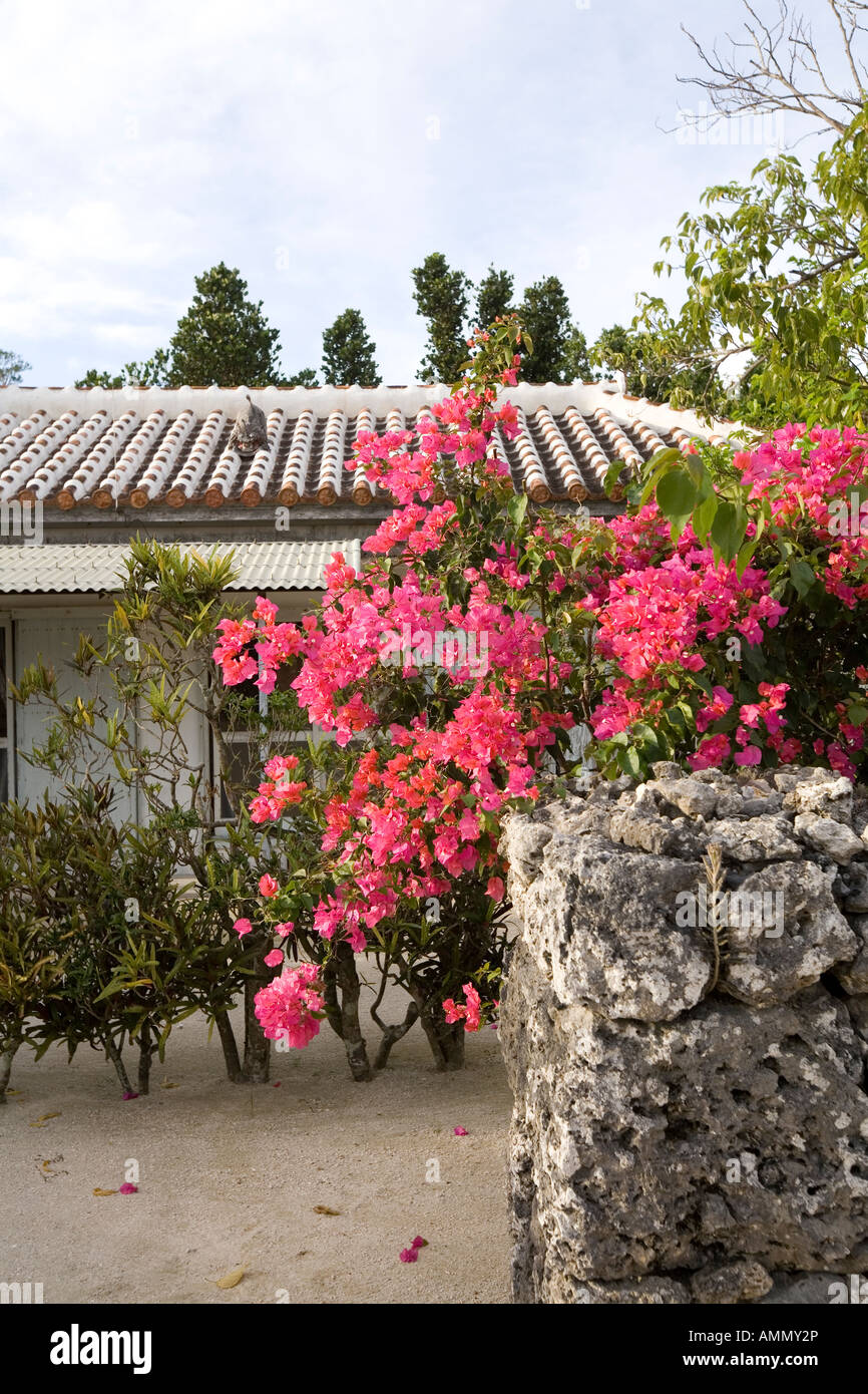 Traditional house in Taketomi Island, Okinawa, Japan Stock Photo Alamy