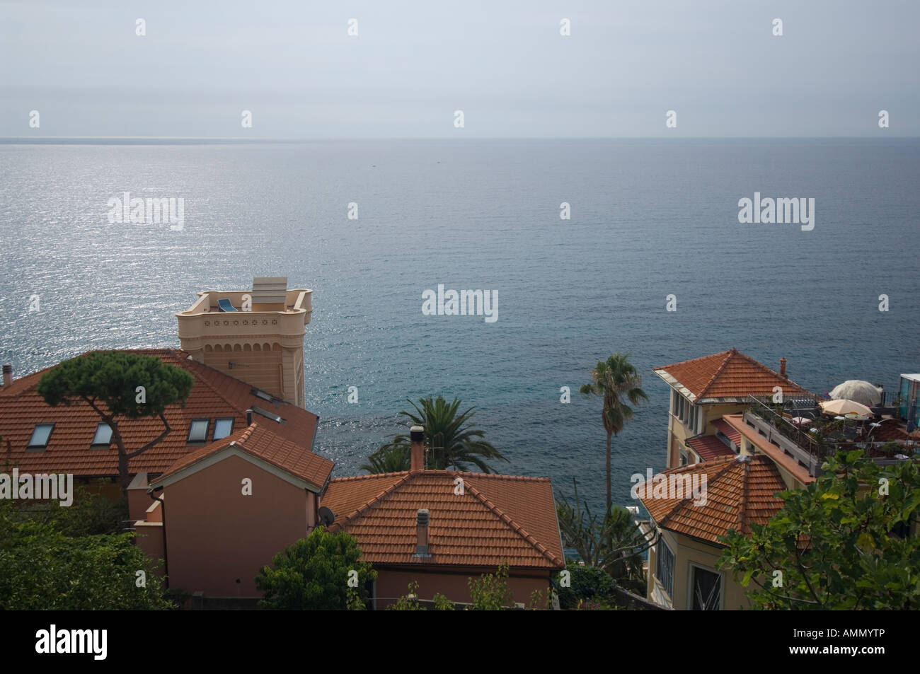 View of the Mediterranian from Portomorizzio showing the Sea and Terracotta Roof tiles and Palm Trees. Stock Photo