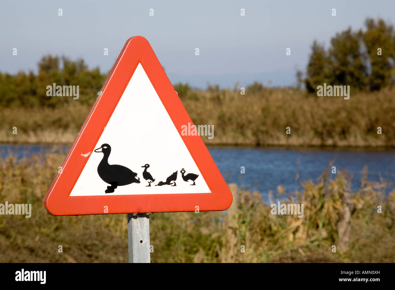 duck crossing sign Stock Photo