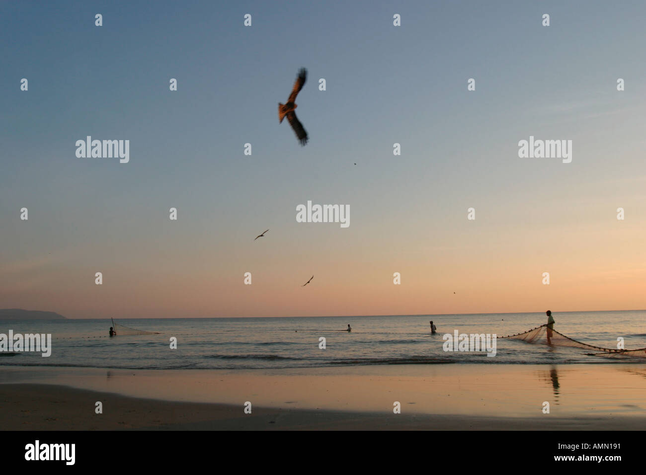 India goa palolem fishing fish hi-res stock photography and images - Alamy