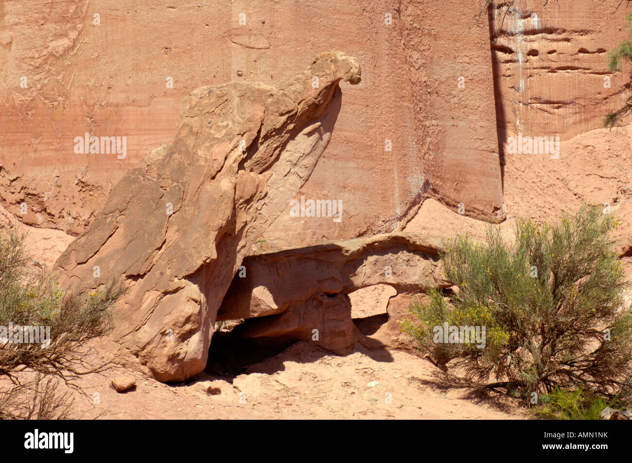 A strange rock formation in Talampaya National Park aptly named 'The Vulture" Stock Photo