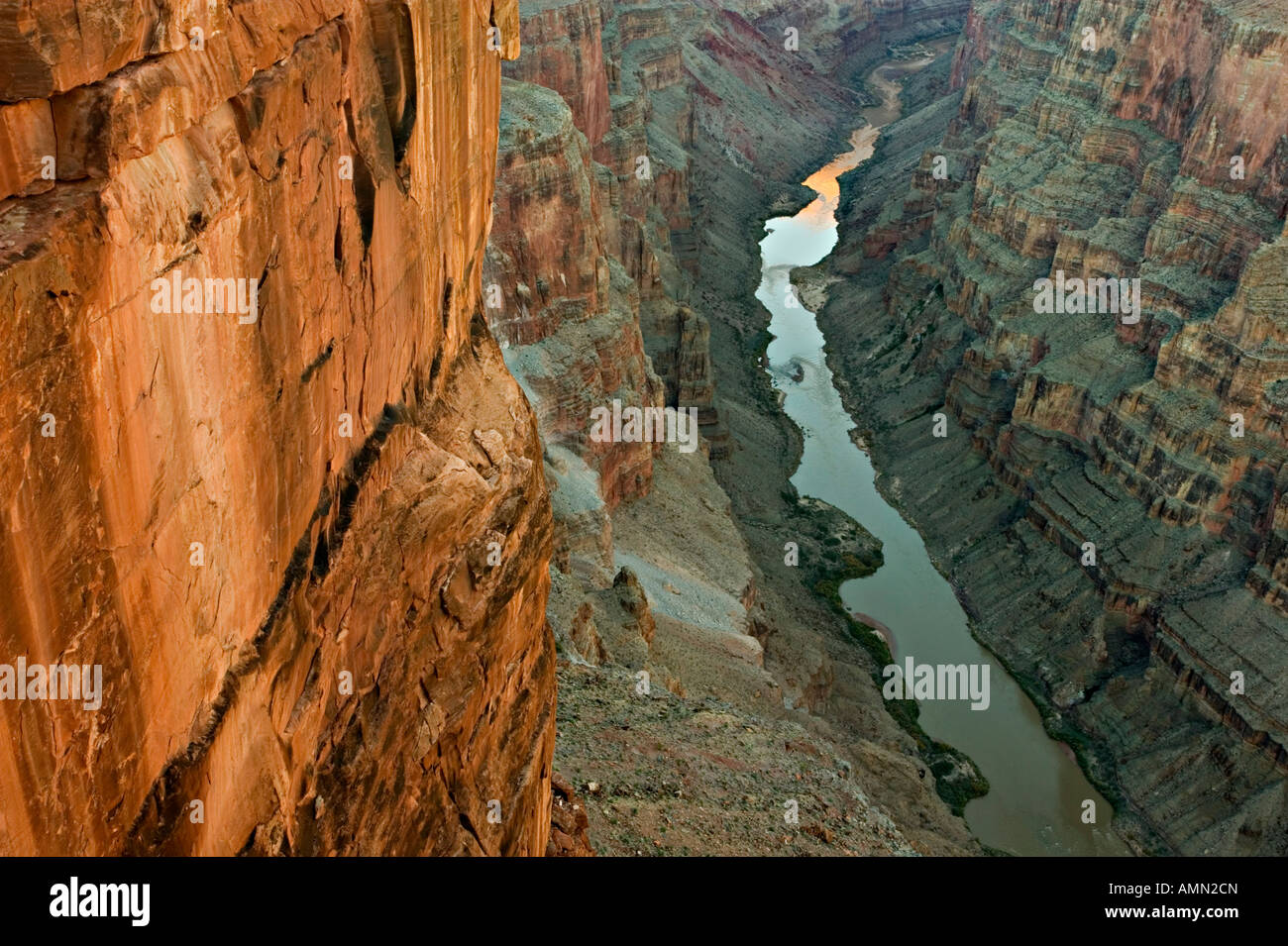 Grand canyon toroweap overlook Stock Photo