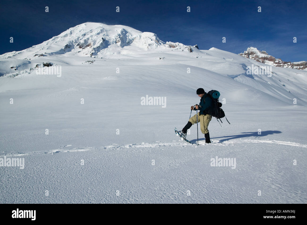 Man snowshoeing in Mt. Rainier wilderness backcountry Stock Photo Alamy