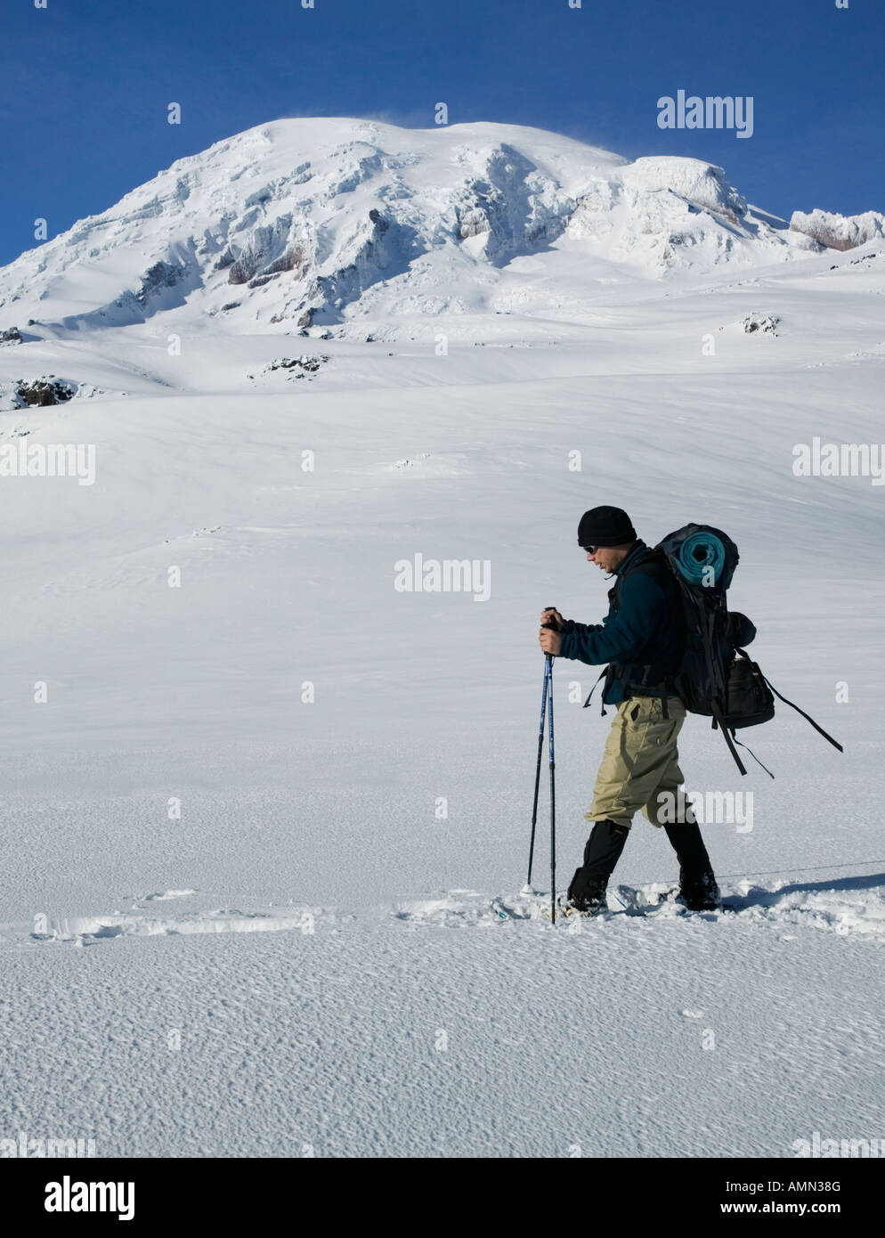 Man snowshoeing in Mt. Rainier wilderness backcountry Stock Photo Alamy