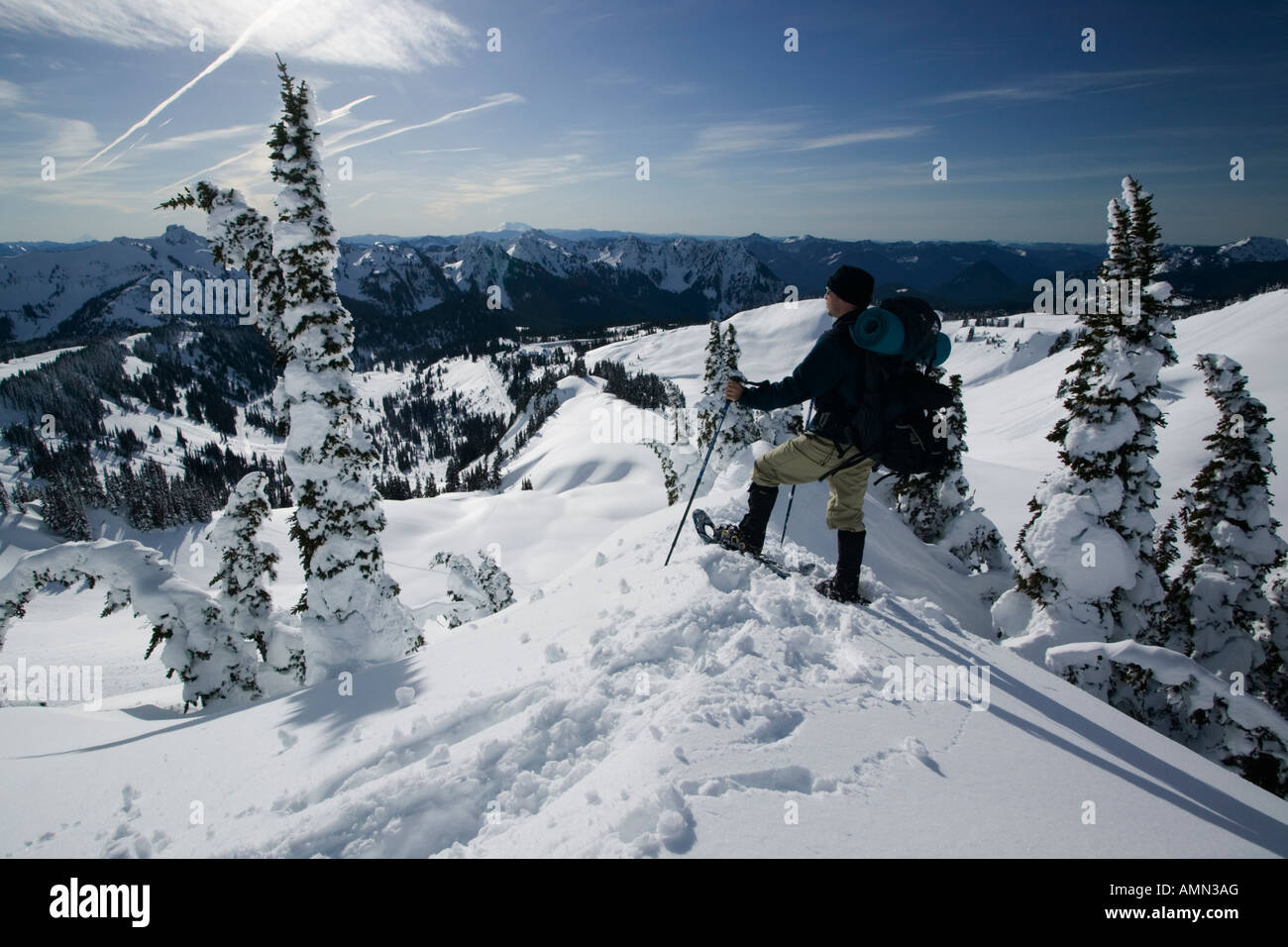 Man snowshoeing in Mt. Rainier wilderness backcountry Stock Photo Alamy