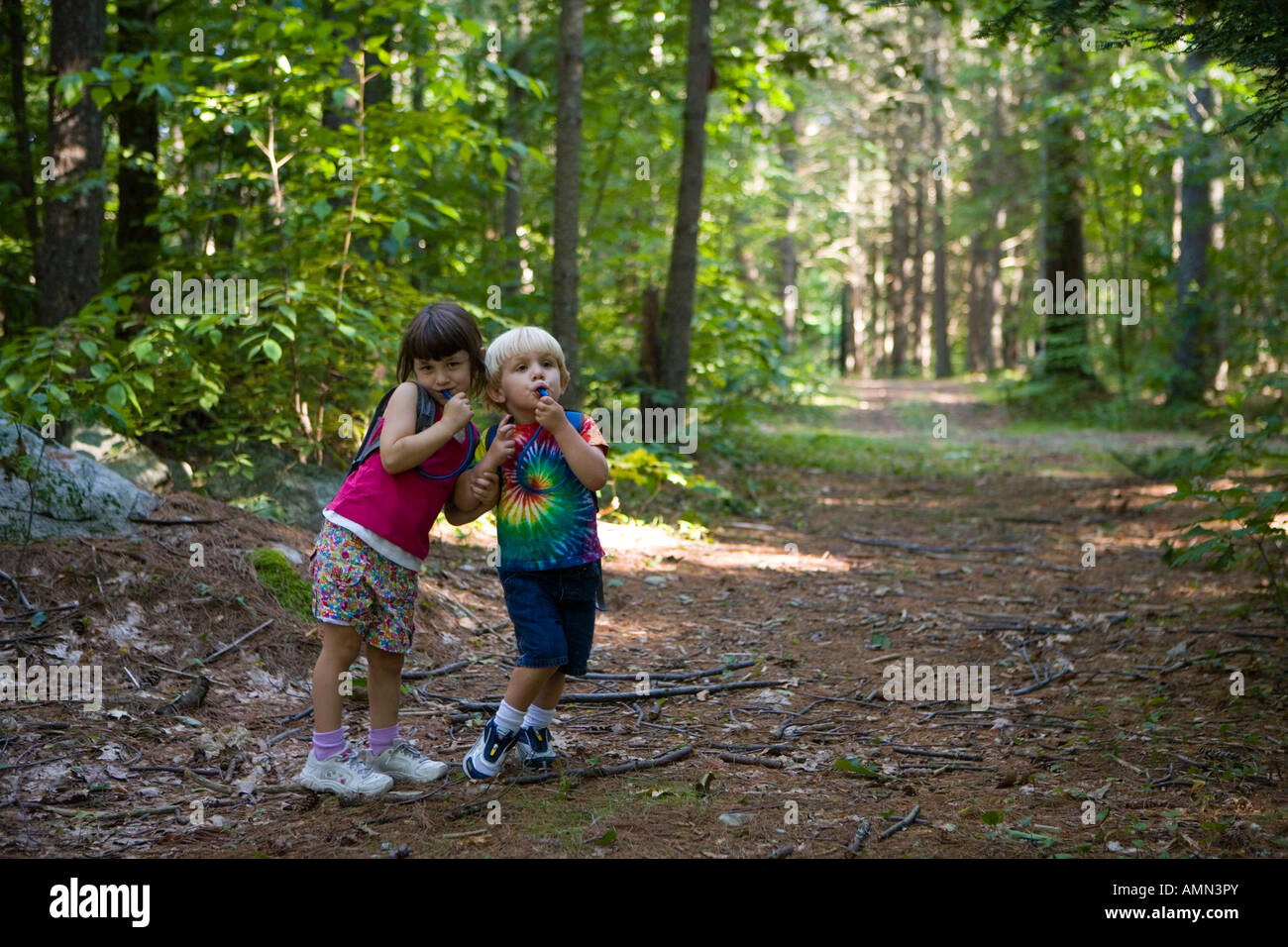 A young brother and sister go hiking in North Hampton New Hampshire USA Stock Photo