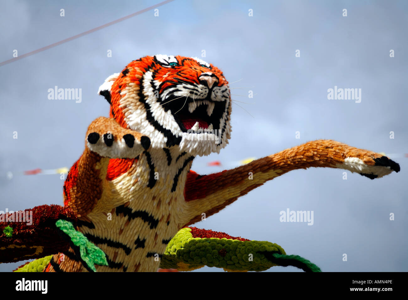 Battle of Flowers St Helier Jersey Channel Islands Leaping Tiger Flower