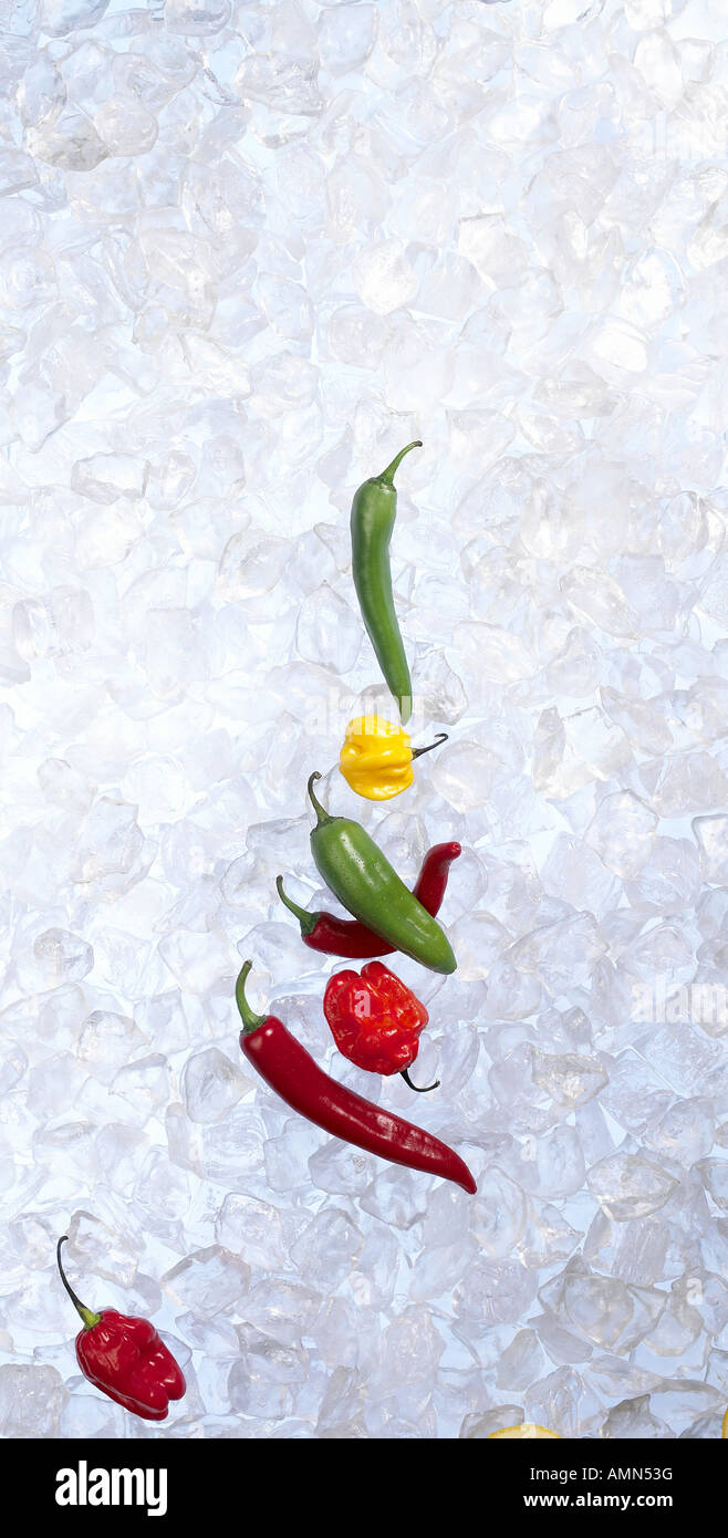 Chilli peppers & scotch bonnets on ice Stock Photo