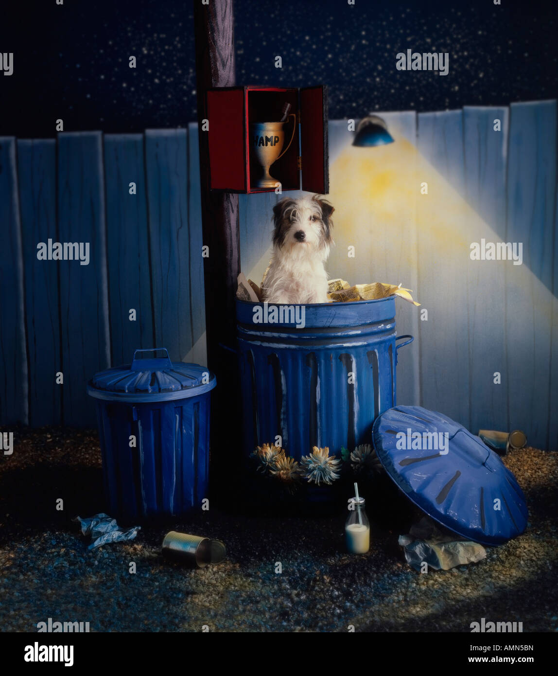 Top Dog. Stock Photo