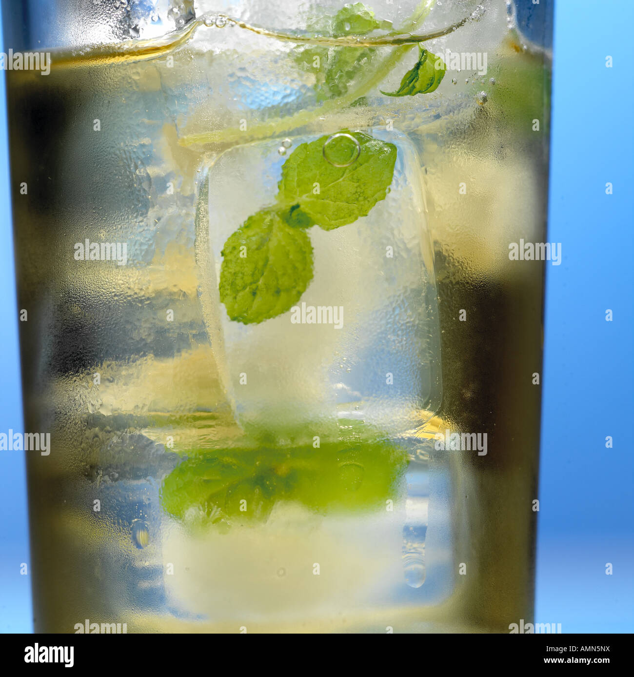 Cold mint tea Stock Photo Alamy