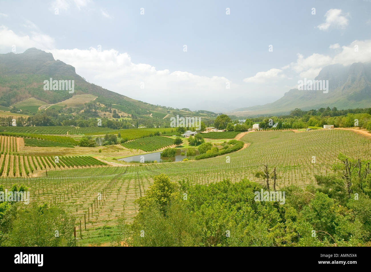 Stellenbosch wine route and valley of vineyards outside of Cape Town
