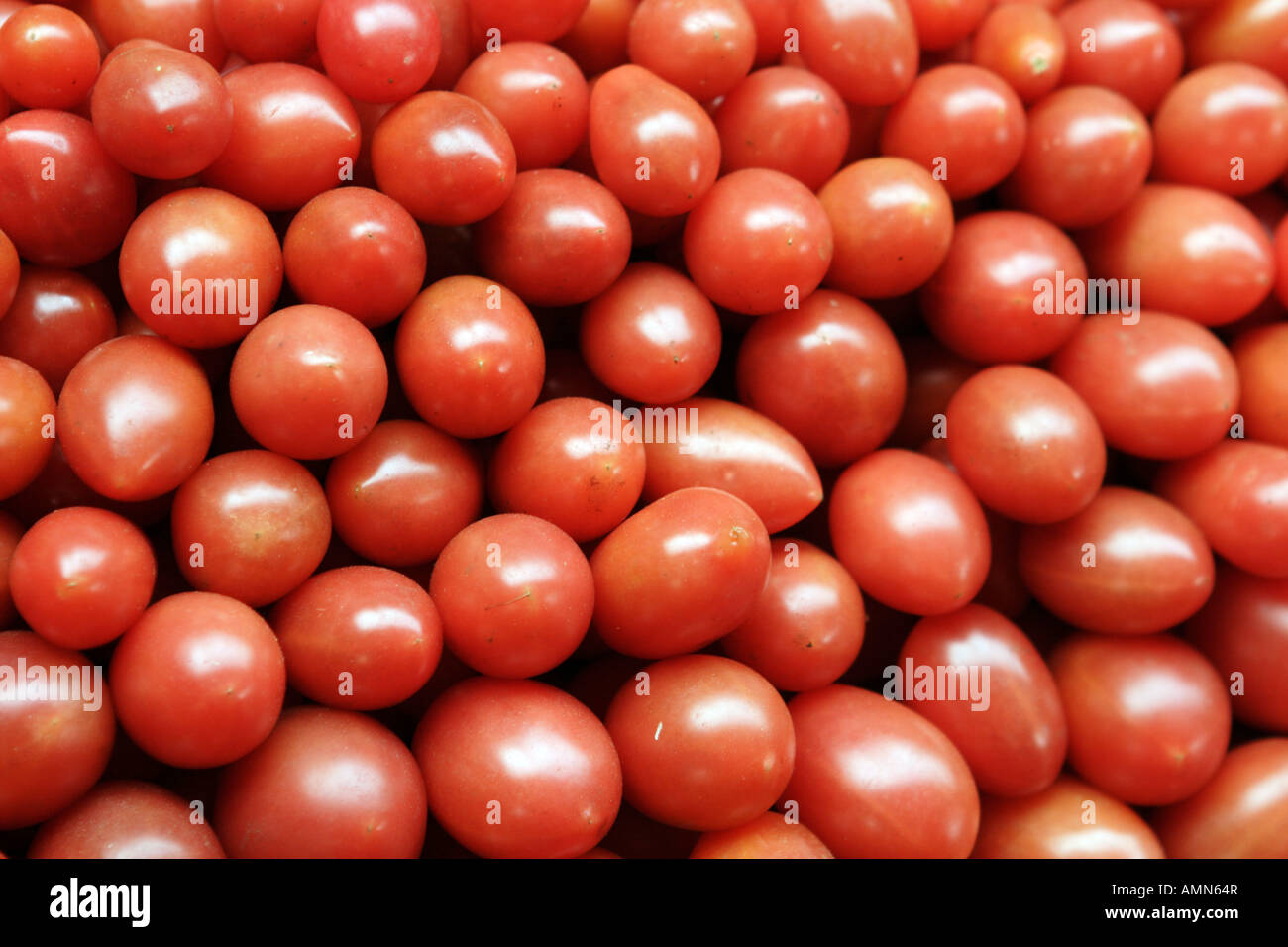Tomatoes at a market in Tibet, China Stock Photo