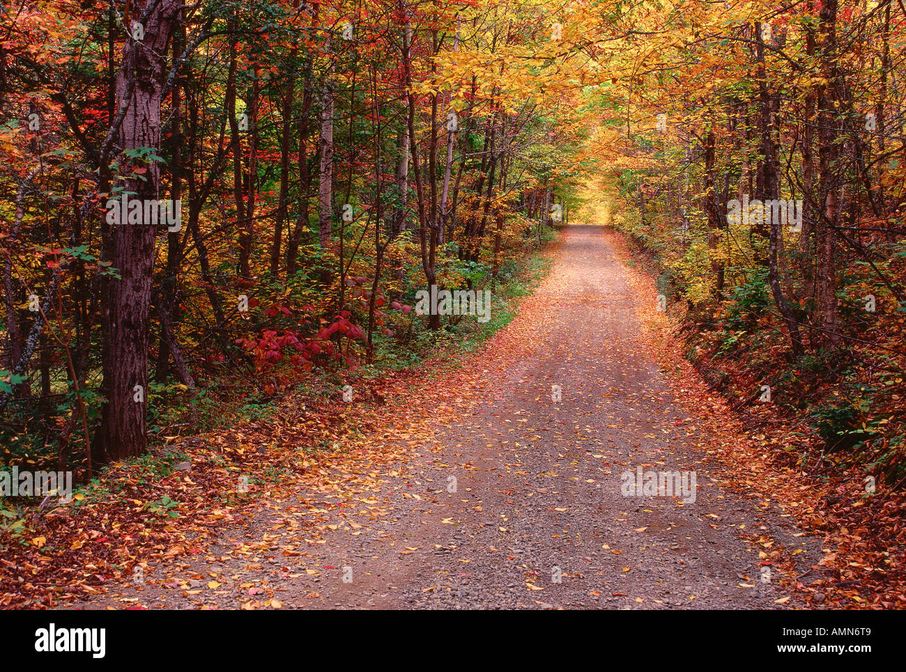 Millville road hires stock photography and images Alamy