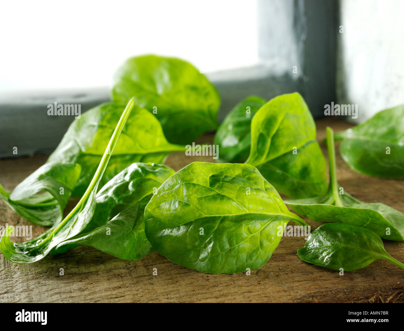 spinach leaves fresh Stock Photo