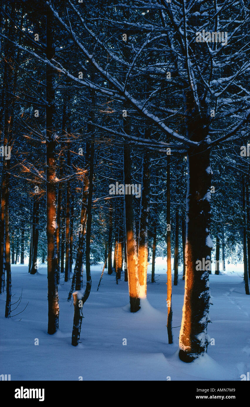 New brunswick winter scene hi-res stock photography and images - Alamy
