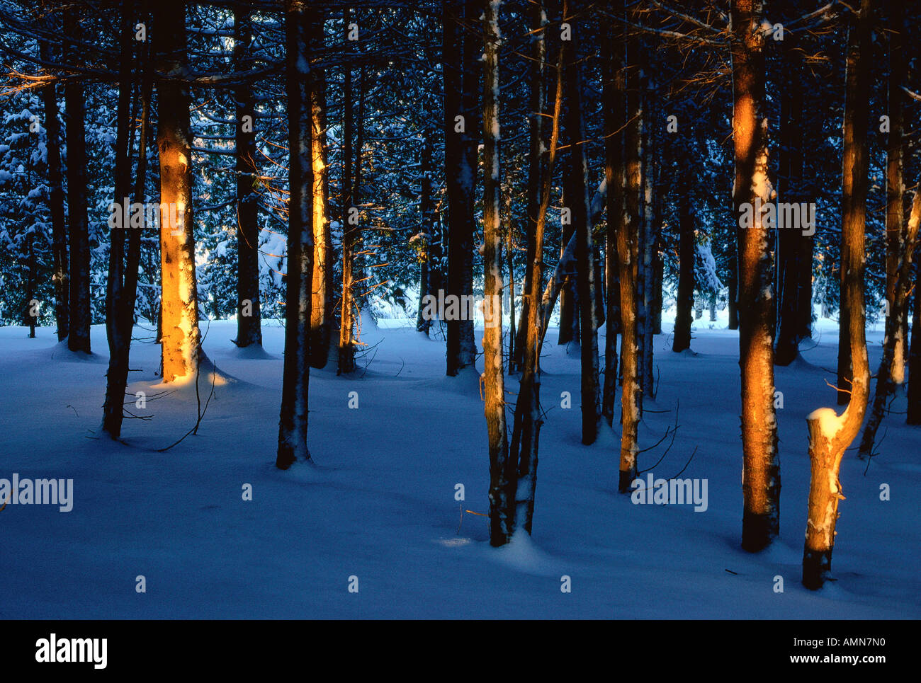 New brunswick winter scene hi-res stock photography and images - Alamy