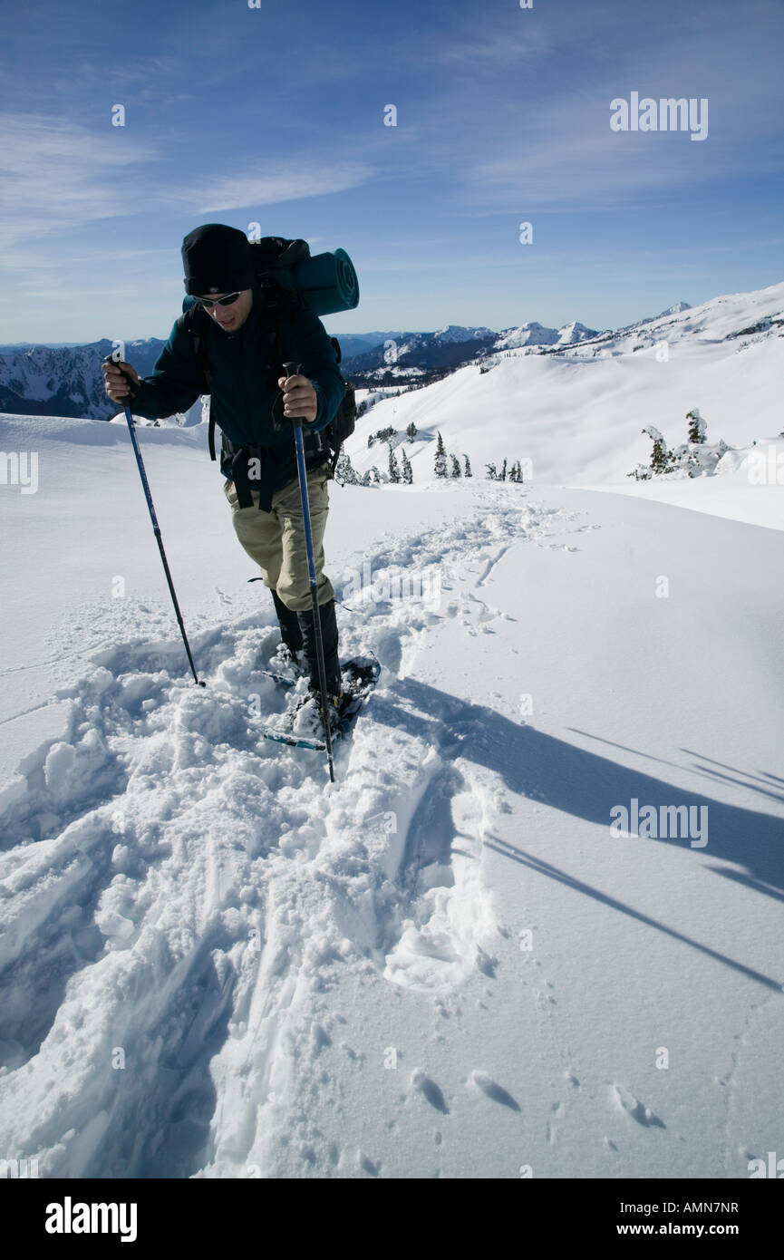 Man snowshoeing in Mt. Rainier wilderness backcountry Stock Photo Alamy