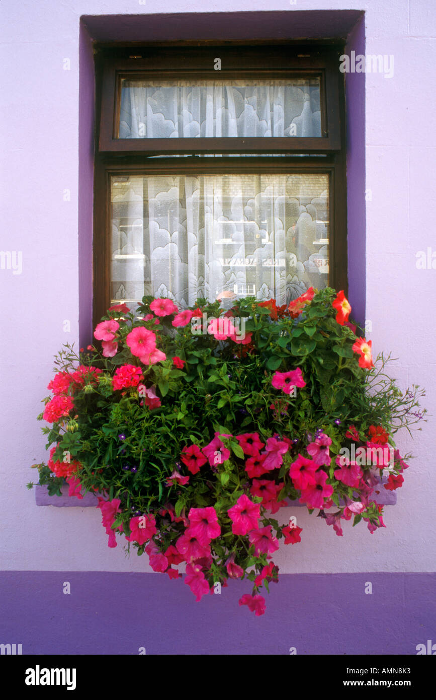 Big pink hi-res stock photography and images - Alamy