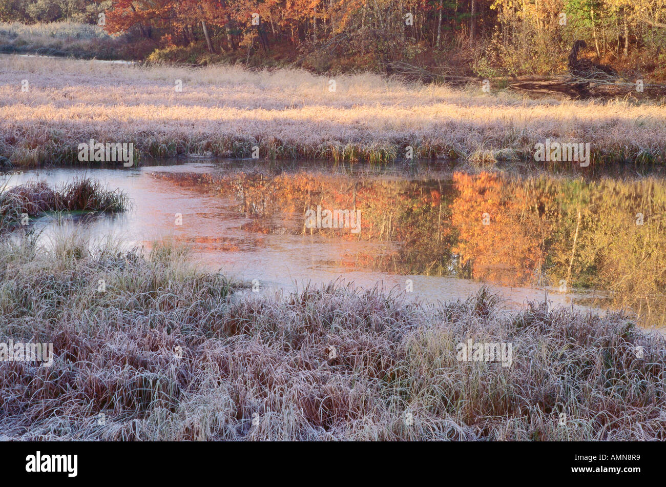 Marsh, Hampton, New Brunswick, Canada Stock Photo Alamy
