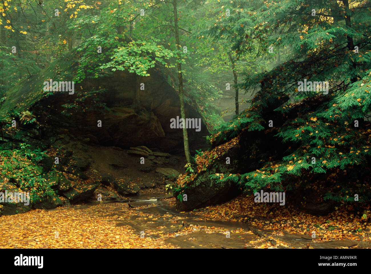 Rocky Hollow, Turkey Run State Park, Indiana USA Stock Photo Alamy