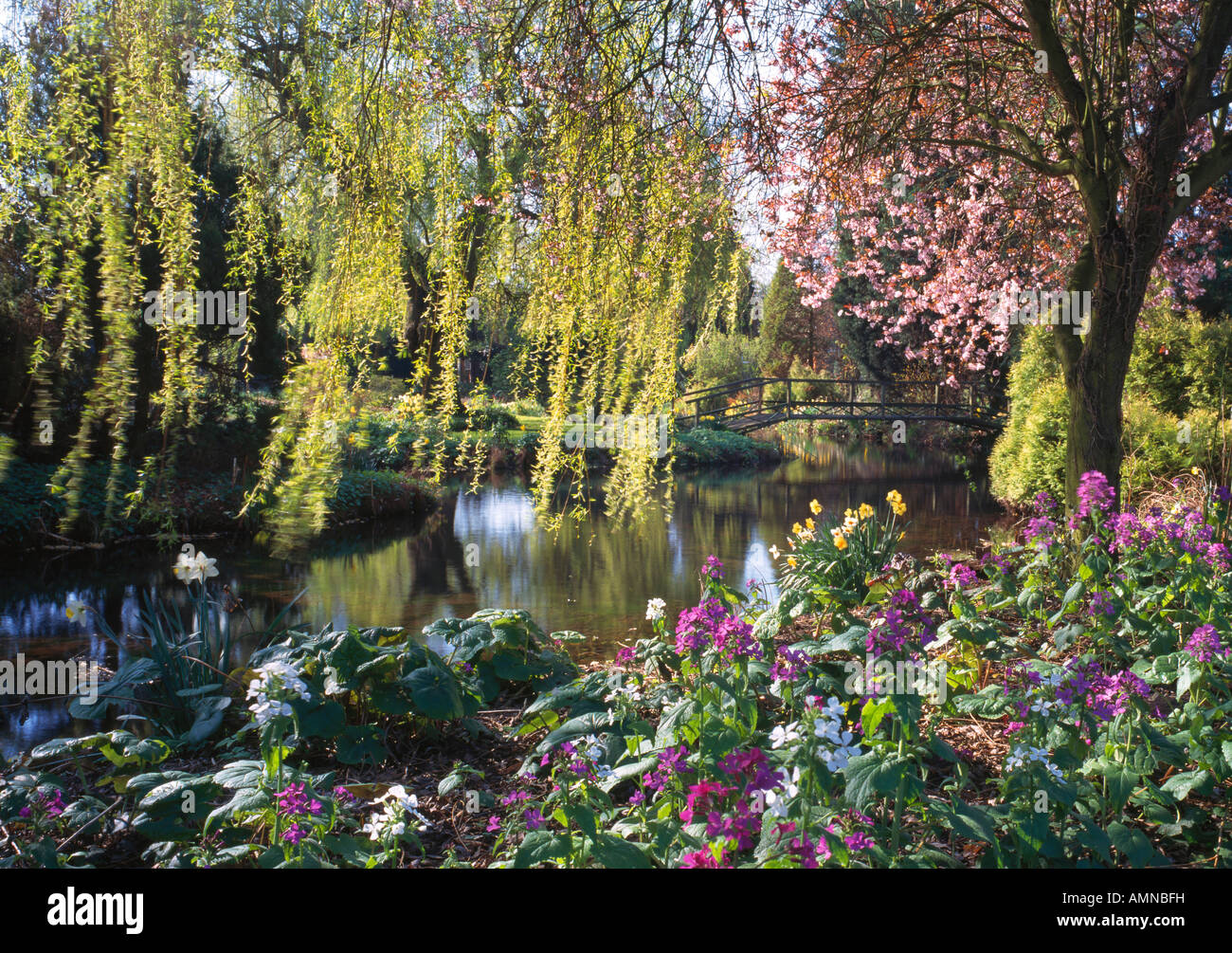 springtime garden, norfolk, england Stock Photo