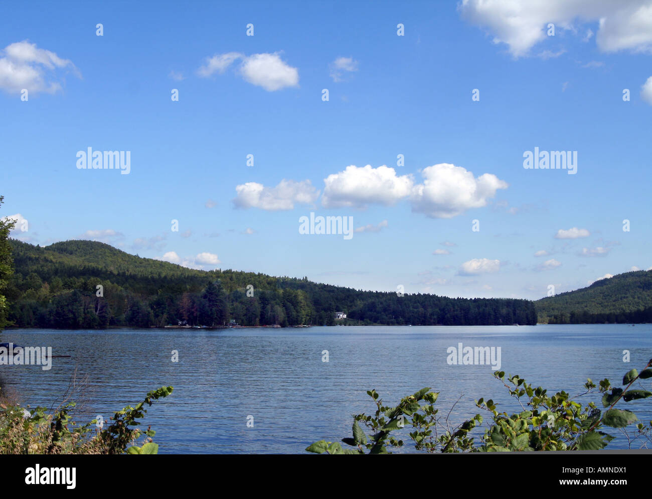 Loon Lake in the Adirondacks Stock Photo Alamy
