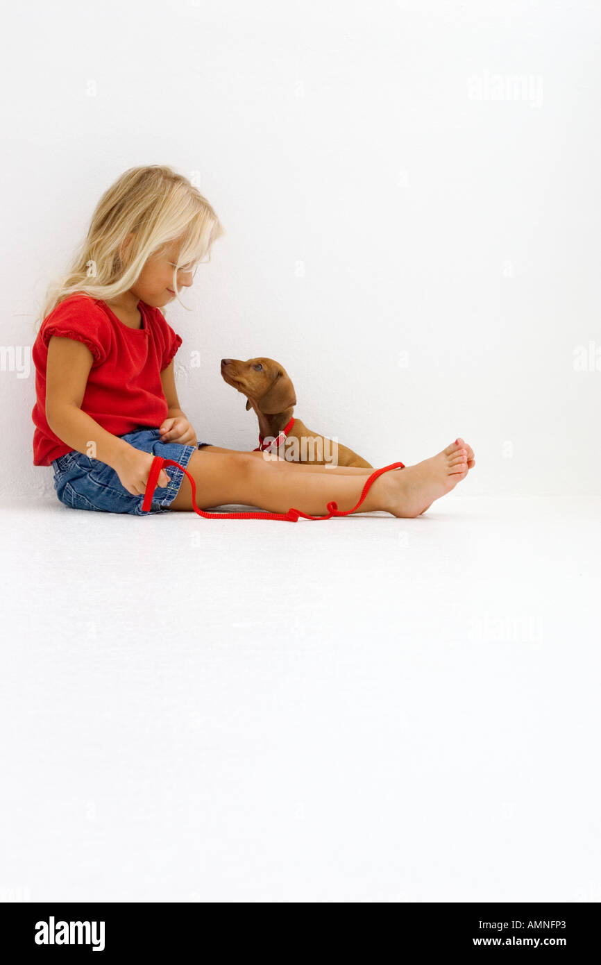 Little girl in red shirt sitting with dachshund puppy. Stock Photo