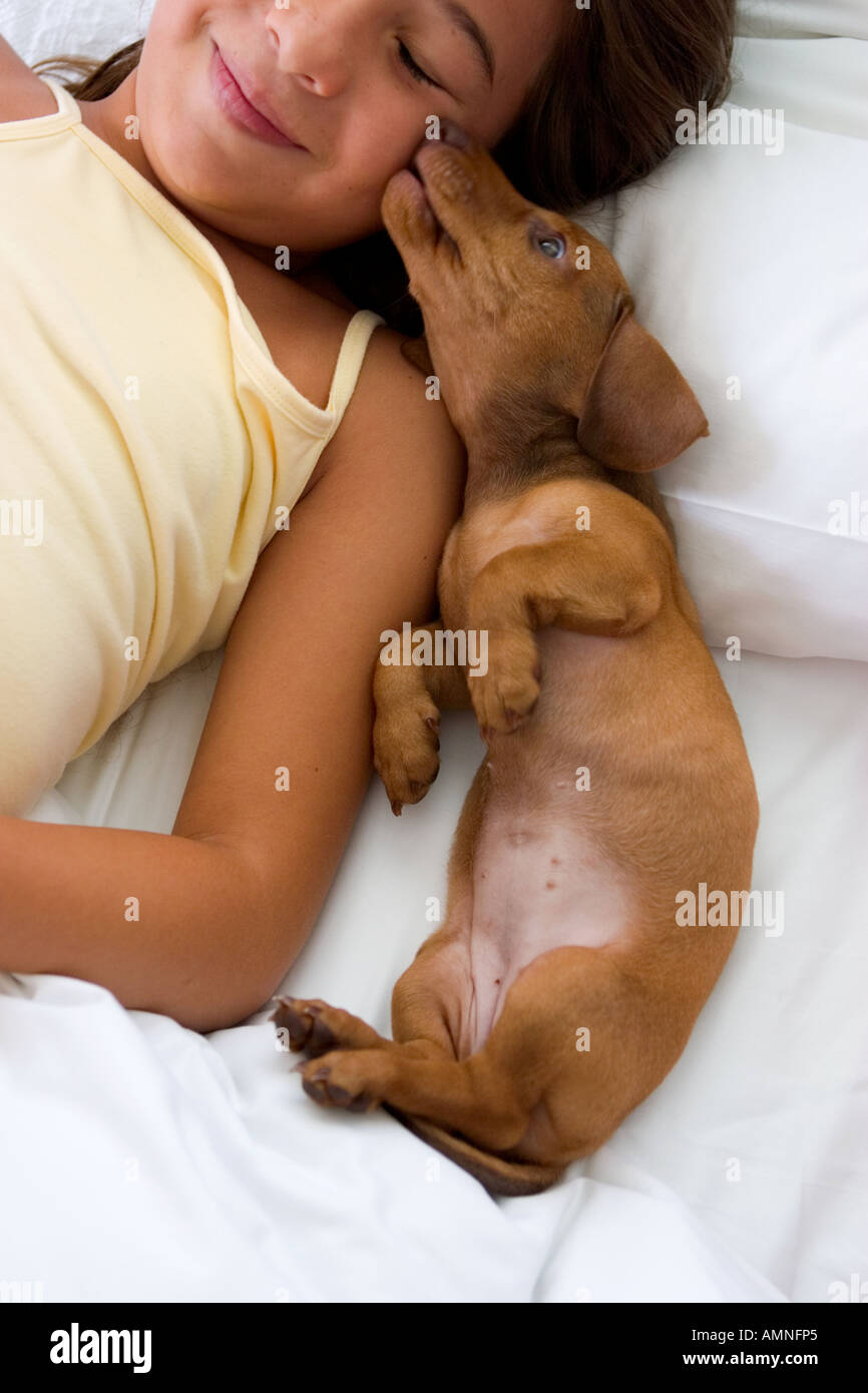 Smiling girl getting a kiss from a dachshund puppy dog. Stock Photo