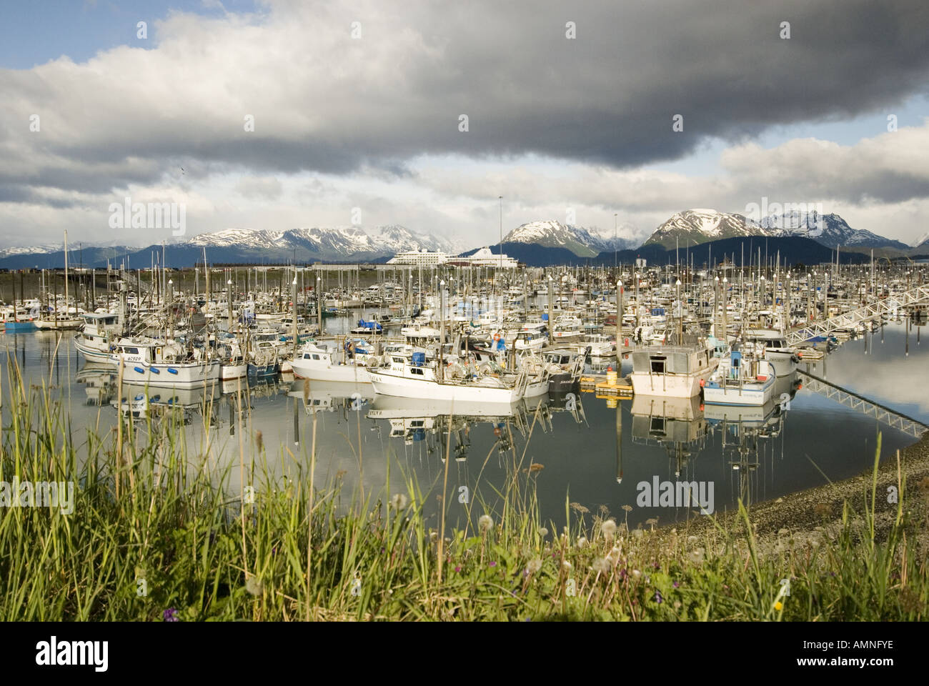 Homer alaska fishing hires stock photography and images Alamy