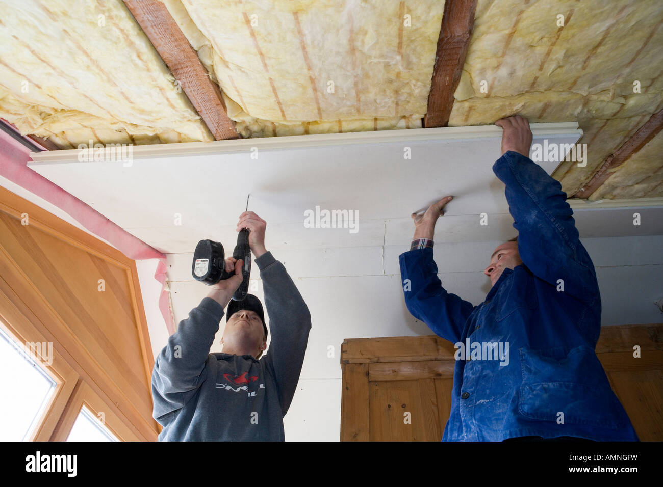 Workmen affixing a thermal insulation in an attic Stock Photo - Alamy
