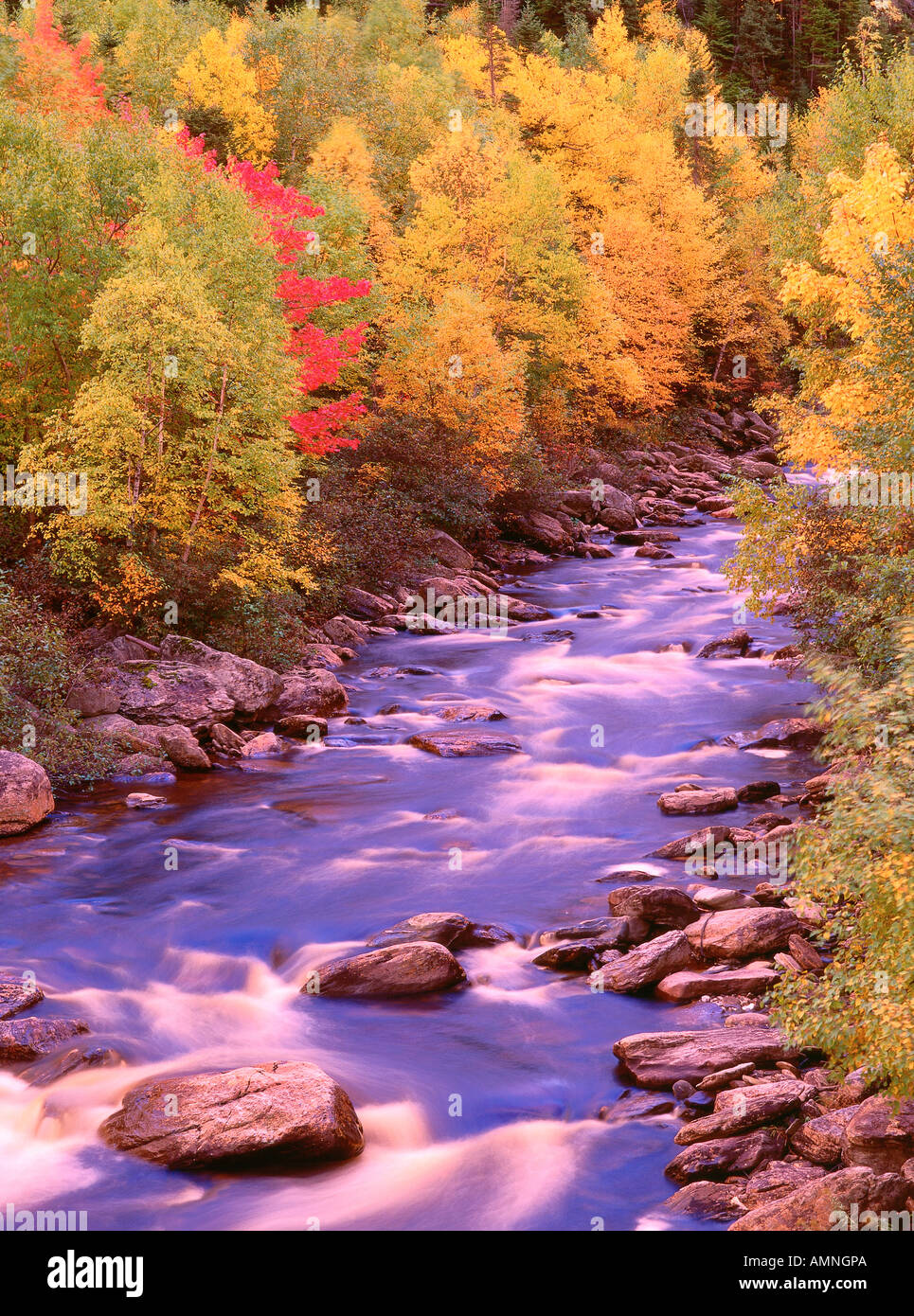 Corner brook stream canada hires stock photography and images Alamy(04)