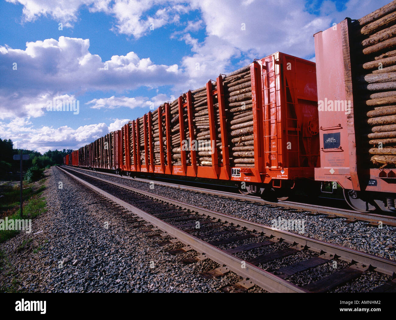 Pulpwood Train, Northern Ontario, Canada Stock Photo