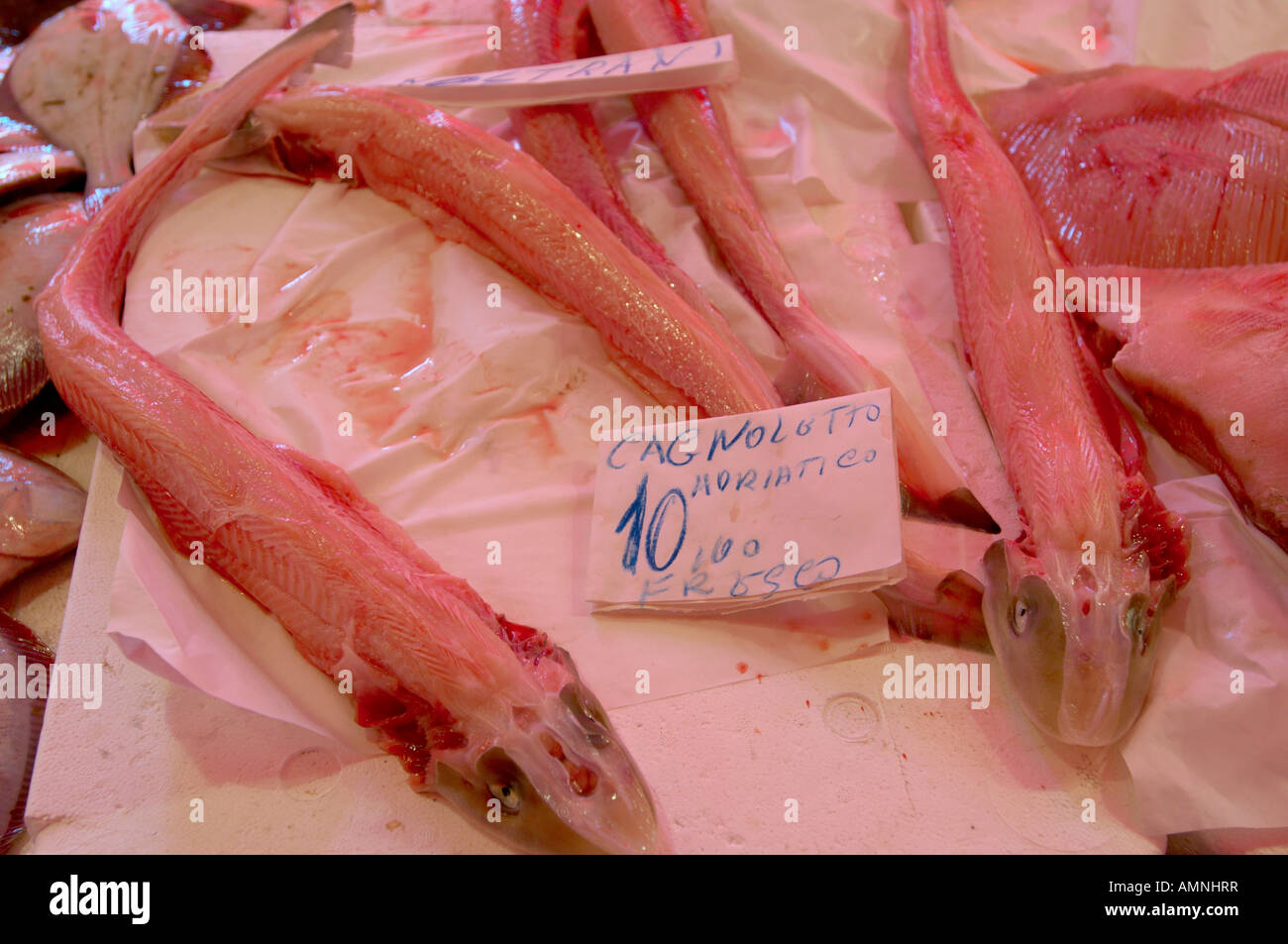 Sea food fish hi-res stock photography and images - Alamy