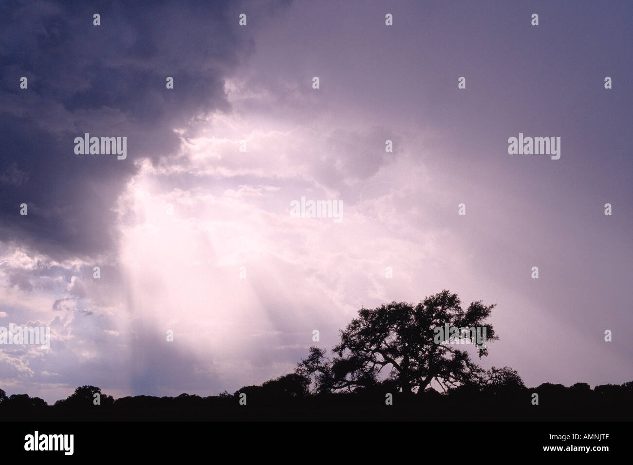 Sunrays Through Storm Clouds, Texas, USA Stock Photo Alamy