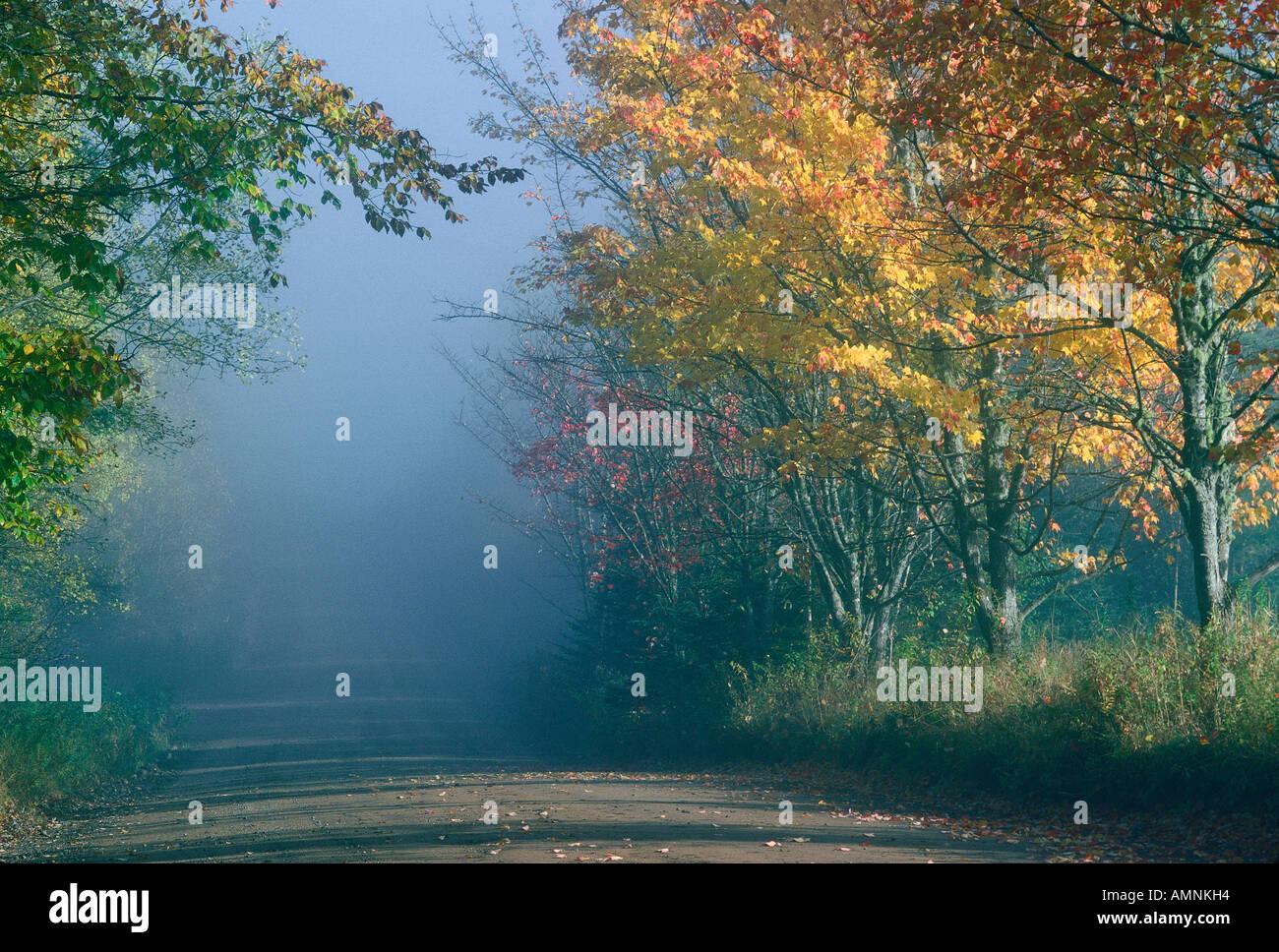 Kingston peninsula hires stock photography and images Alamy