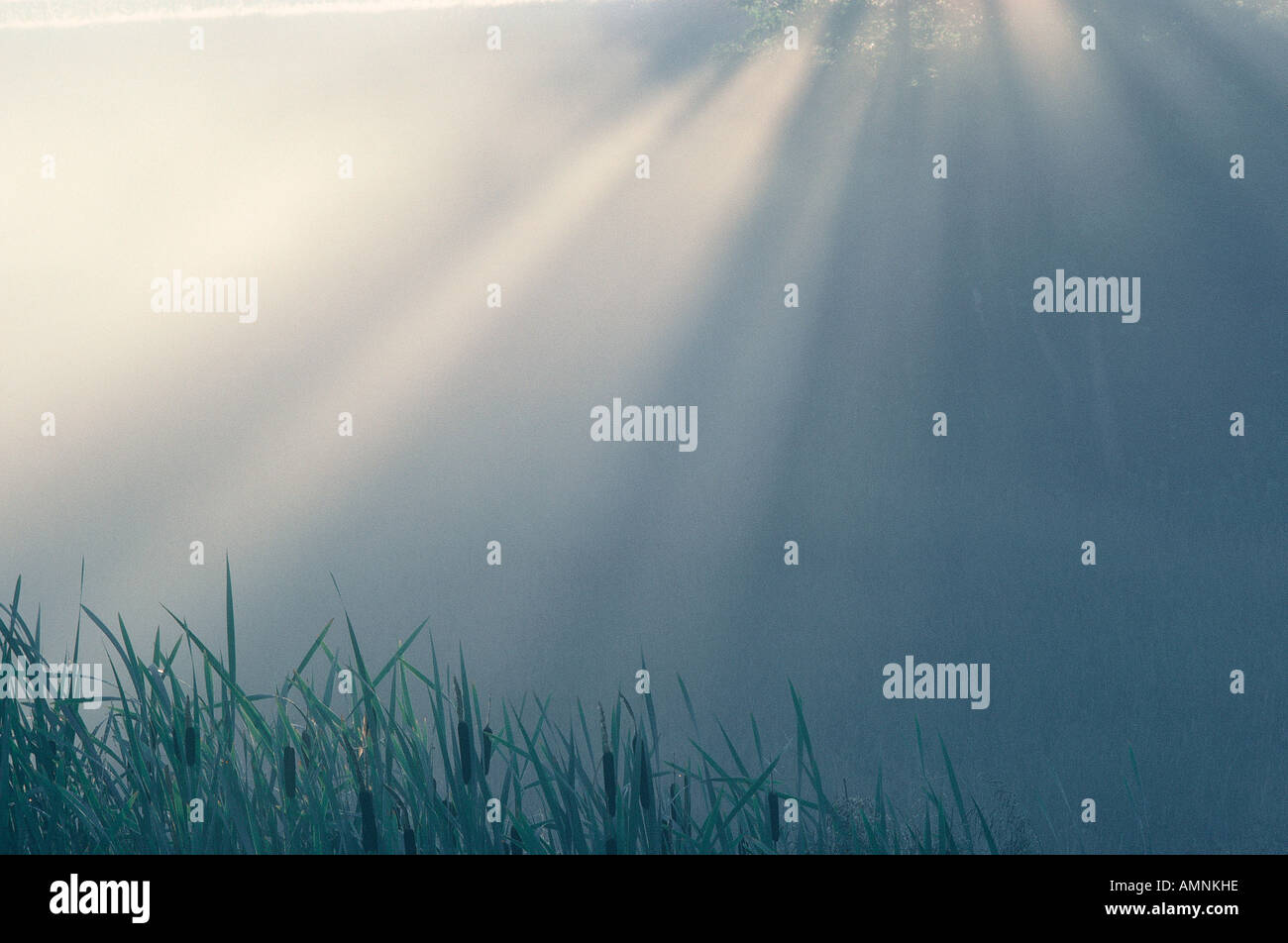 Sunrays and Mist, Kingston, New Brunswick, Canada Stock Photo Alamy