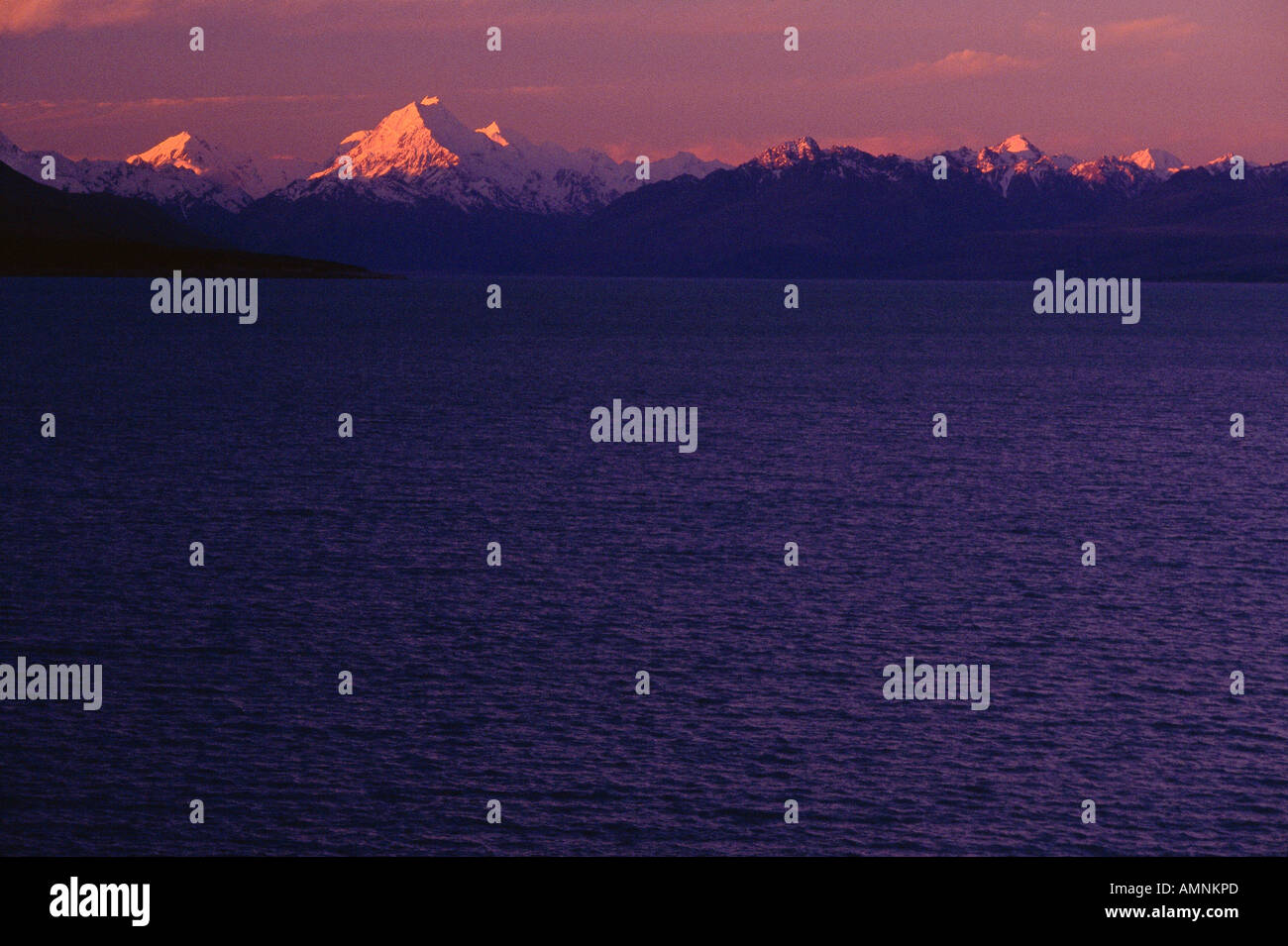 Mt Cook In Southern Alps At Sunset Lake Pukaki South Island New Stock Photo Alamy