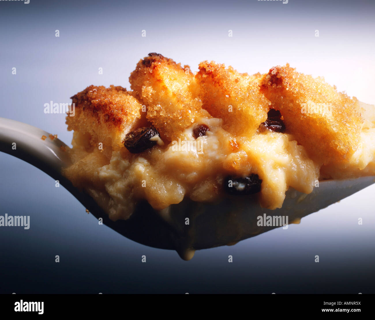 Traditional british Bread Butter Pudding. Classic English dessert Stock Photo Alamy