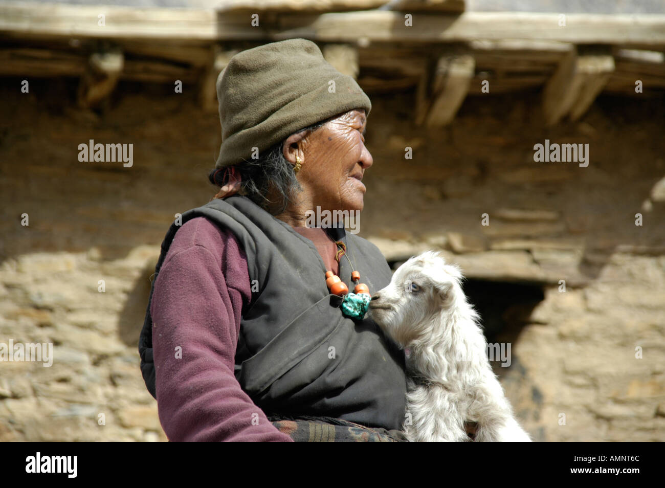 Old woman holds a lamb in her arm Chyakhu Nar Phu Annapurna Region Nepal Stock Photo