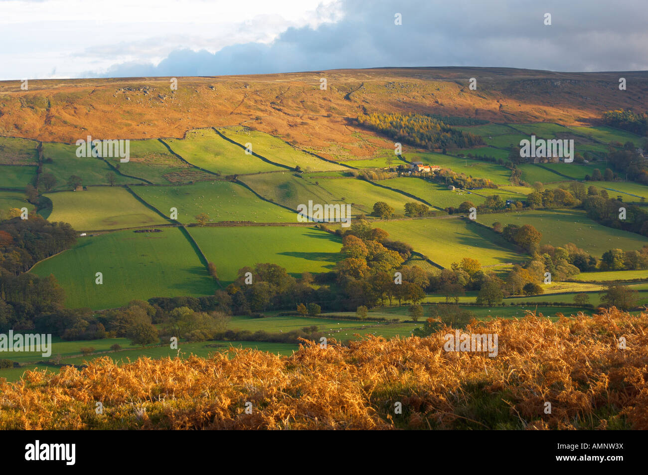 Danby Dale at sunset North Yorkshire Moors National Park England Stock Photo