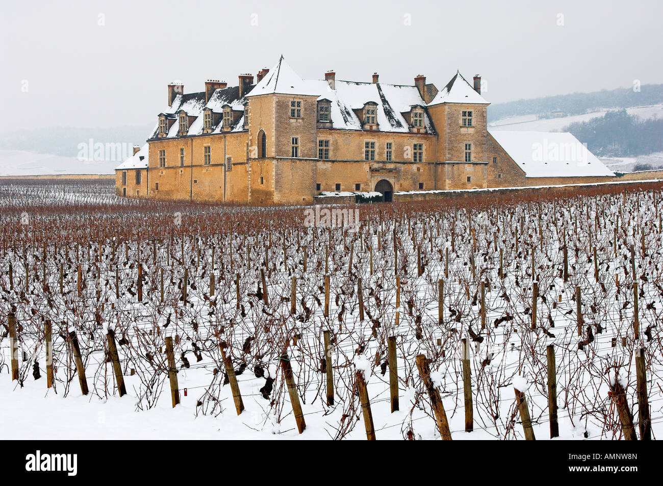 Chateau Clos de Vougeot and vineyard in the snow. Cote D'or, Burgundy, France. Stock Photo