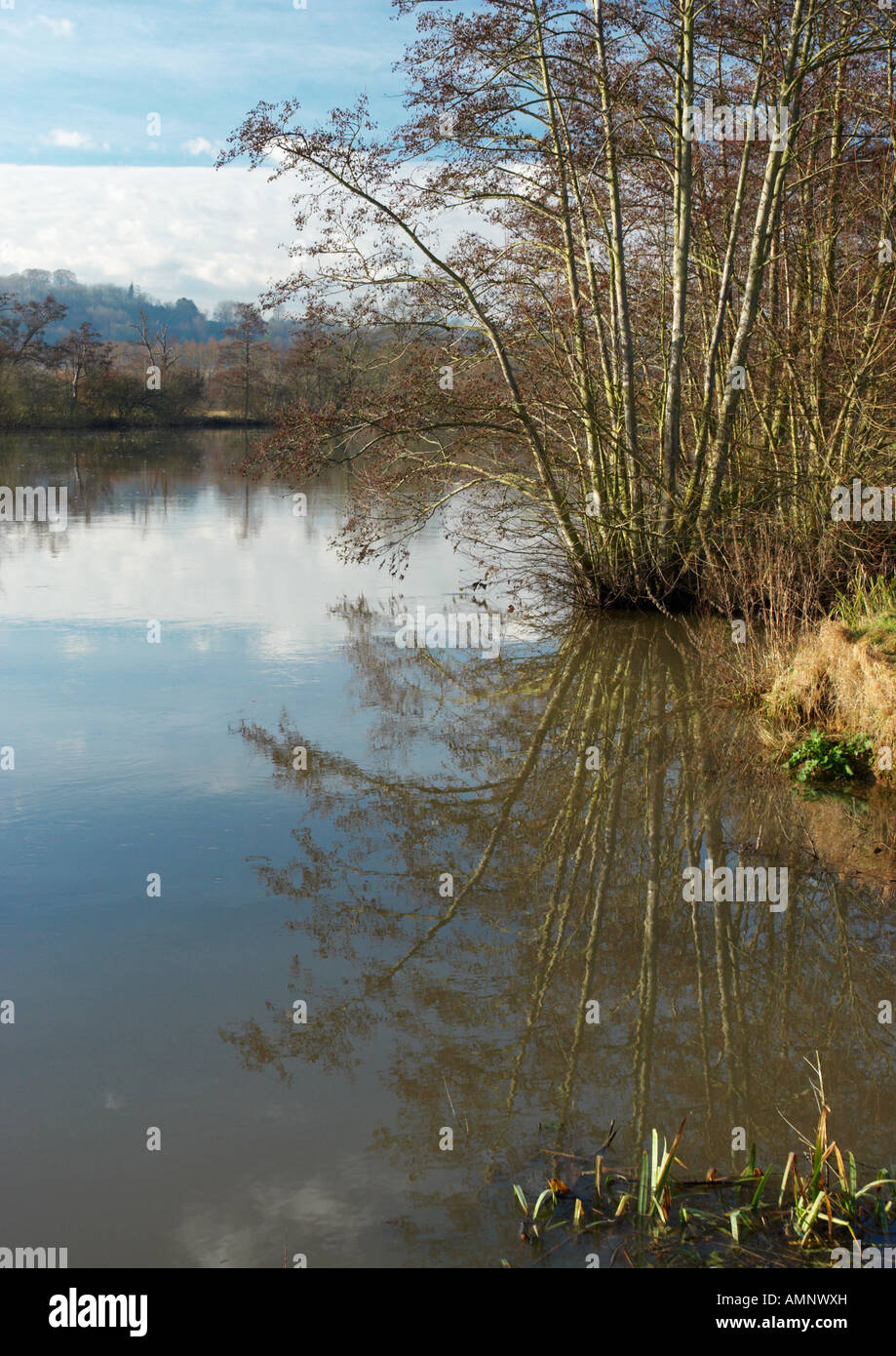A beautiful scene of the River Thames at Medmenham, Buckinghamshire on a sunny December day. Stock Photo