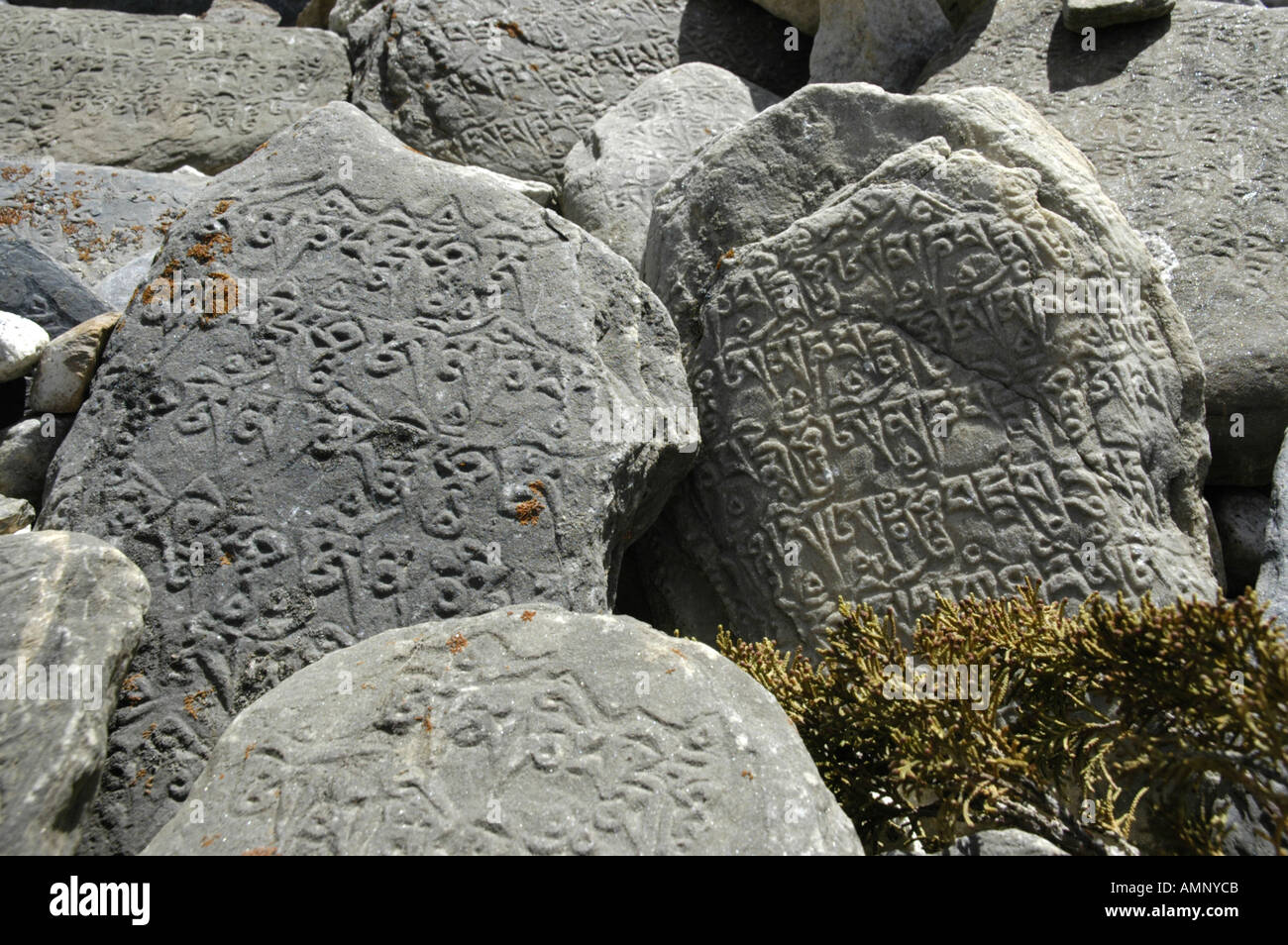 Old Tibetan script on rocks Kyang Nar Phu Annapurna Region Nepal Stock Photo
