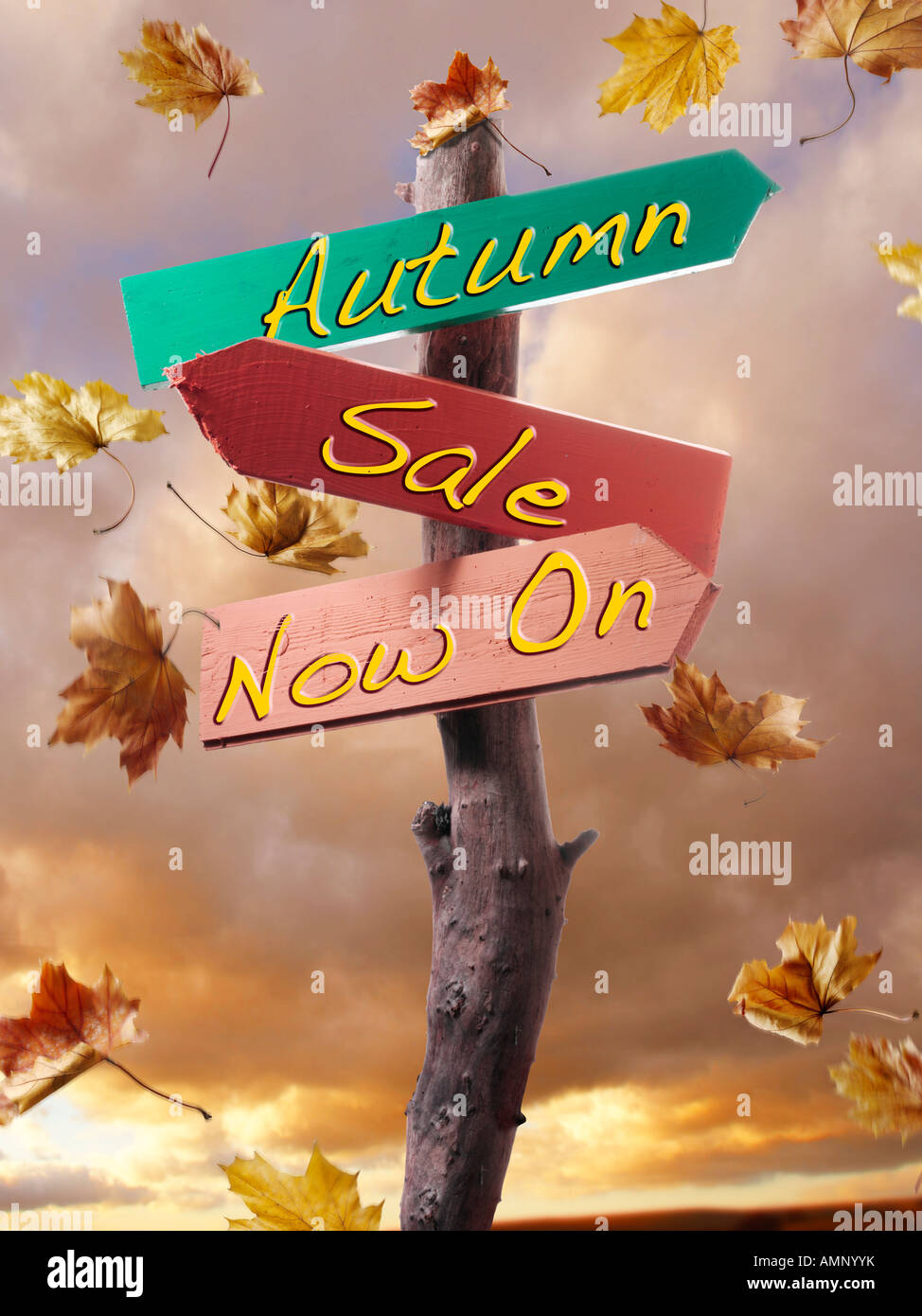 Autumn promtional sale offer sign with falling autumn leaves Stock Photo