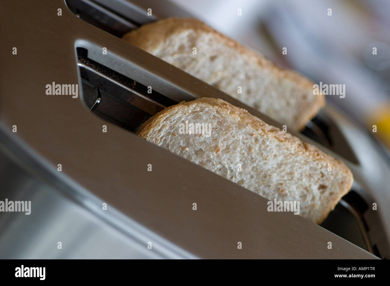 sandwich in toaster Stock Photo Alamy
