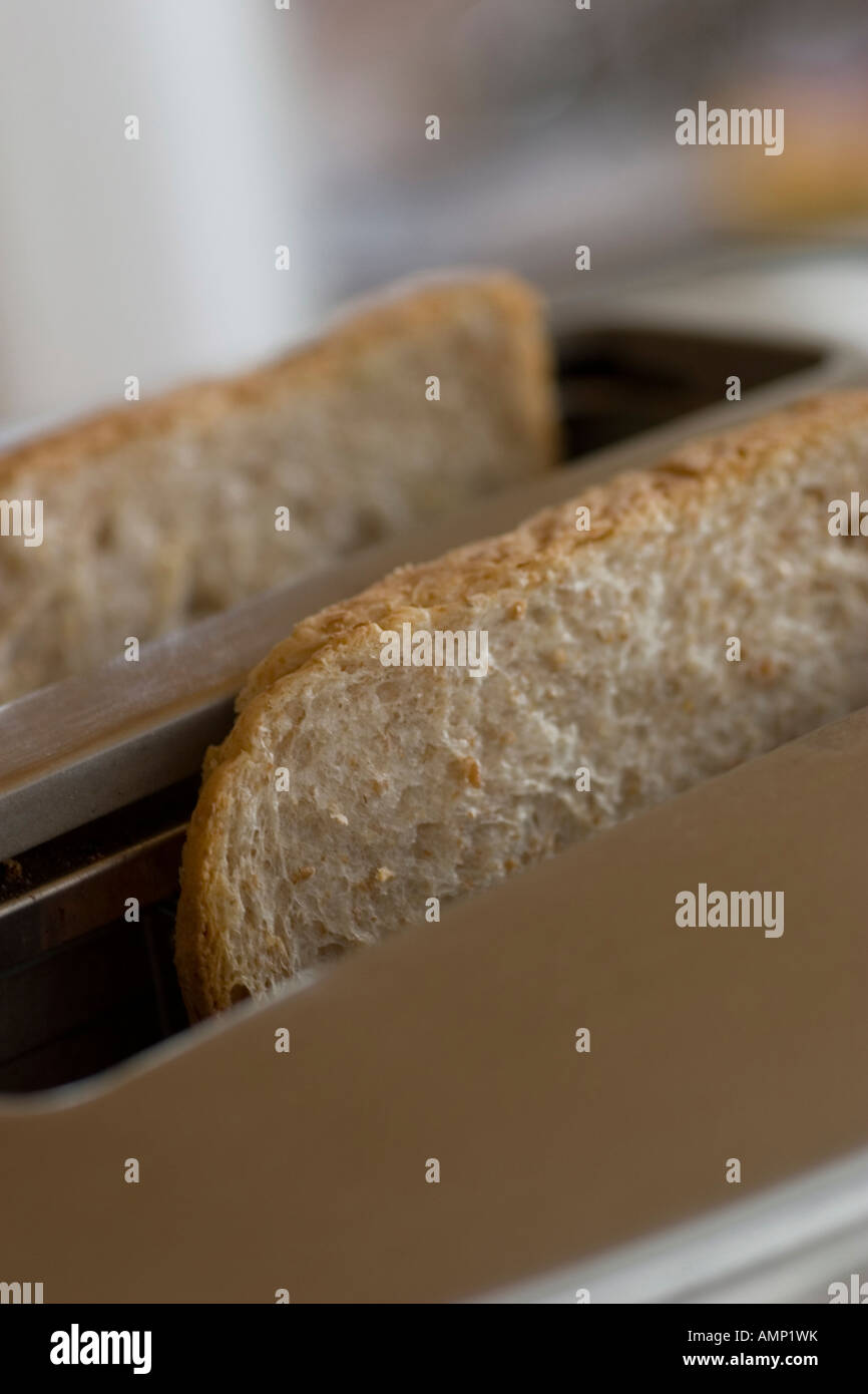 sandwich in toaster Stock Photo Alamy