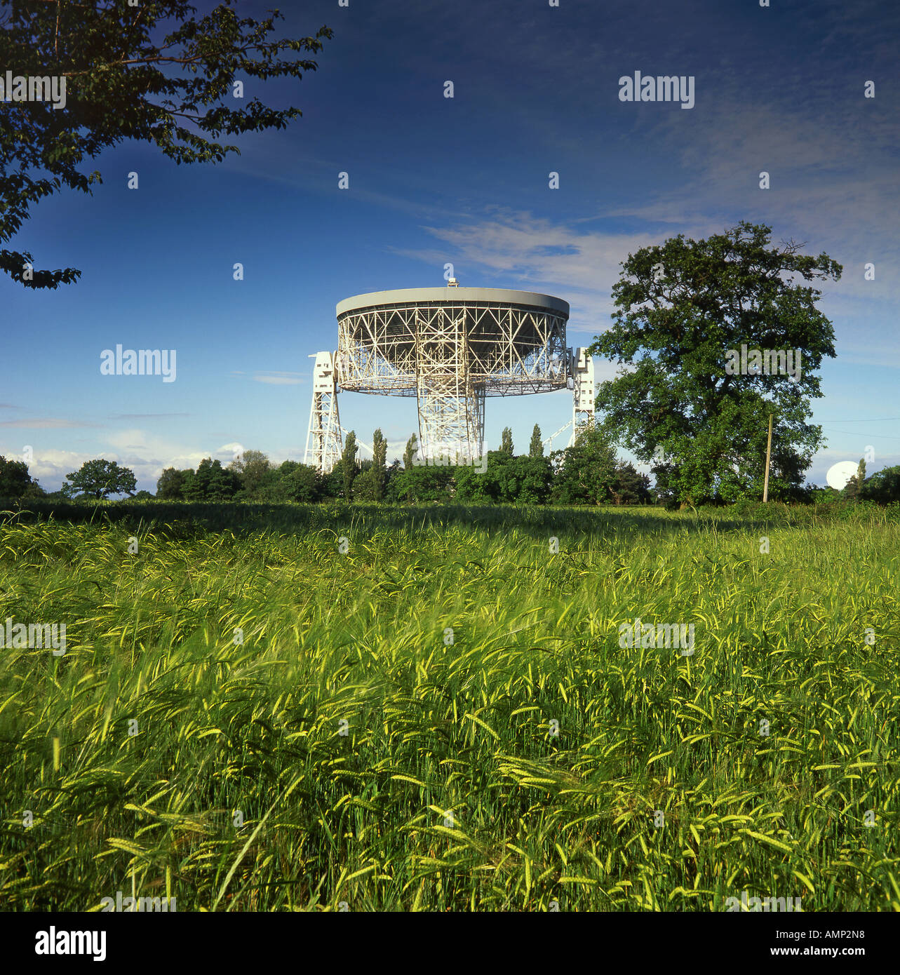 The Giant Mk1A Jodrell Bank Radio Telescope and Unripened Crop Field, Near Holmes Chapel, Cheshire, England, UK Stock Photo